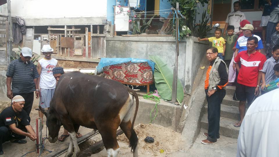 Pelaksanaan Peringatan Idul Adha 1436 H di Kelurahan Karang Rejo